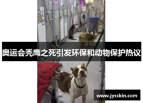 奥运会秃鹰之死引发环保和动物保护热议 奥运会秃鹰之死引发环保和动物保护热议